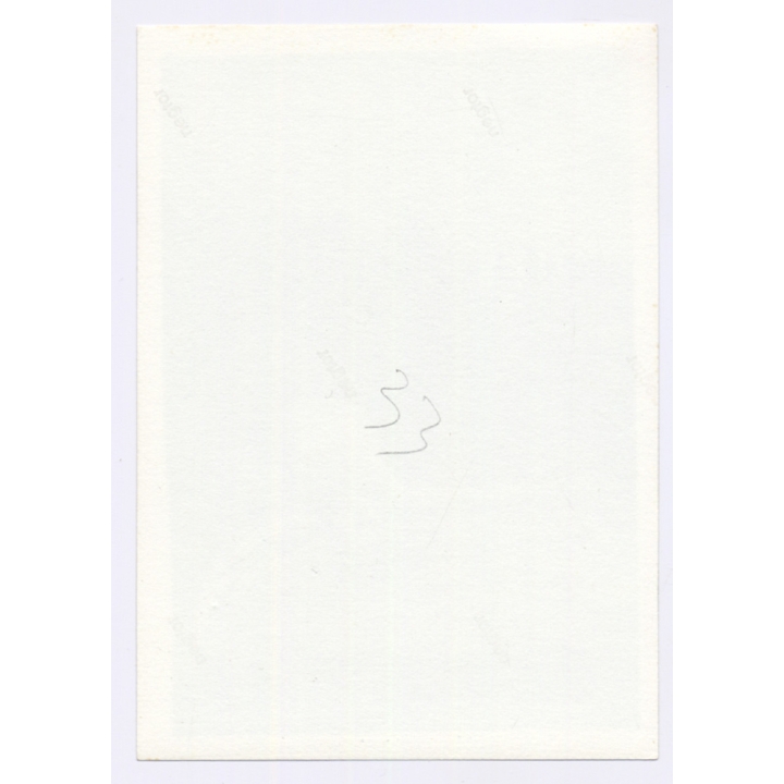 Handsome Man Makes Backflip Into Pool / Gay INT (Vintage Photo 1960s)