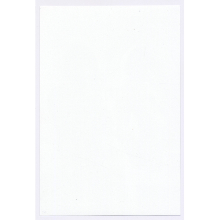 Erotic Study: Beautiful Busty Nude With Bob*1 / Mirror (Digital Photo Print ~2000s)