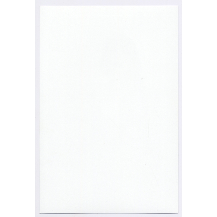 Erotic Study: Beautiful Busty Nude With Bob*2 / Strong Look (Digital Photo Print ~2000s)