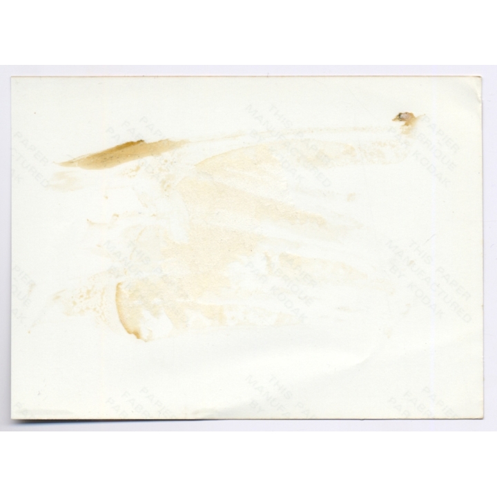 Erotic Study: Busty Blonde Nude Outdoors*1 / Smile (Vintage Photo 1990s)