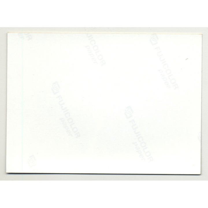 Longhaired Semi Nude Brunette In Front Of Wooden Gate *1 (Vintage Photo DDR ~1980s)