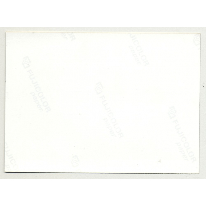 Longhaired Semi Nude Brunette In Front Of Wooden Gate *3 (Vintage Photo DDR ~1980s)