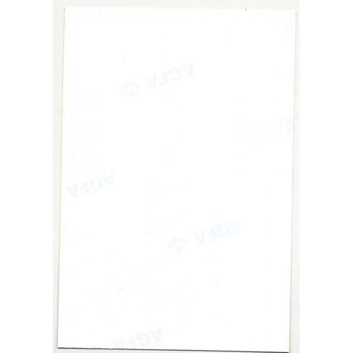 Athletic Brunette Undresses & Teases *2 / Bodice (Vintage Photo DDR ~1980s)