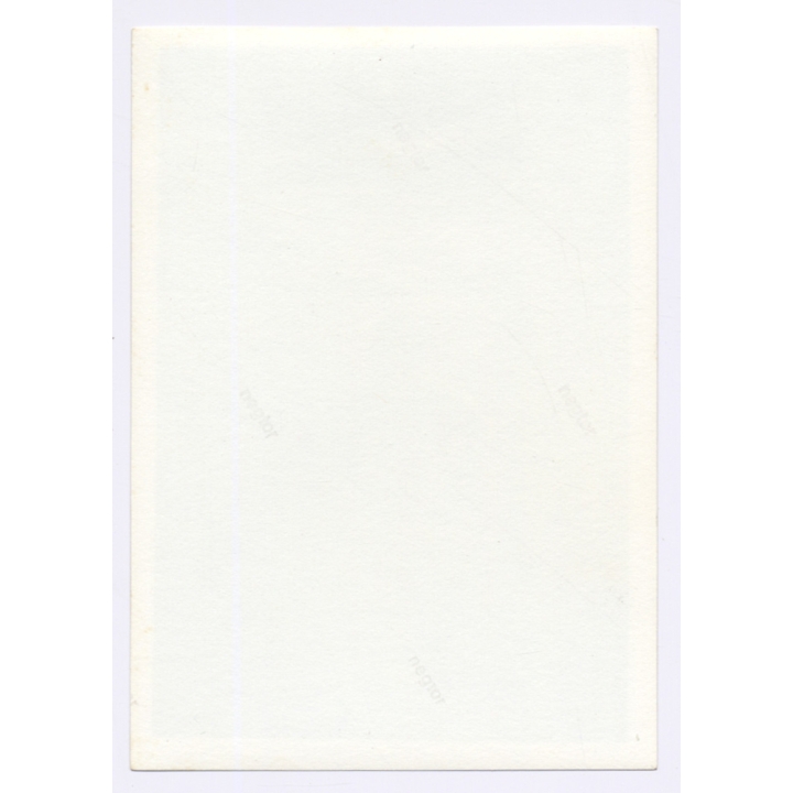 Handsome Man in Swimming Pool / Cheeky Look - Gay INT (Vintage Photo 1960s)