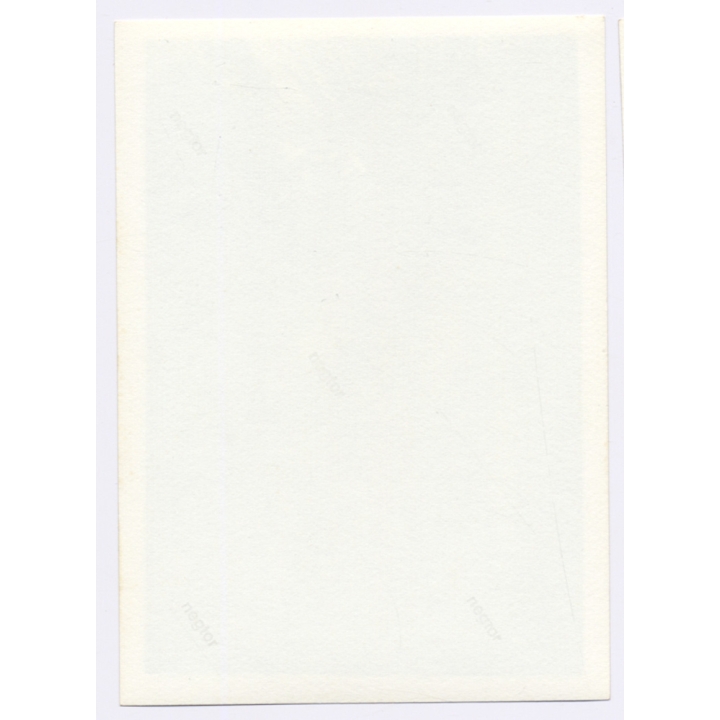 Handsome Muscular Young Man In Swim Trunks / Gay INT (Vintage Photo 1960s)