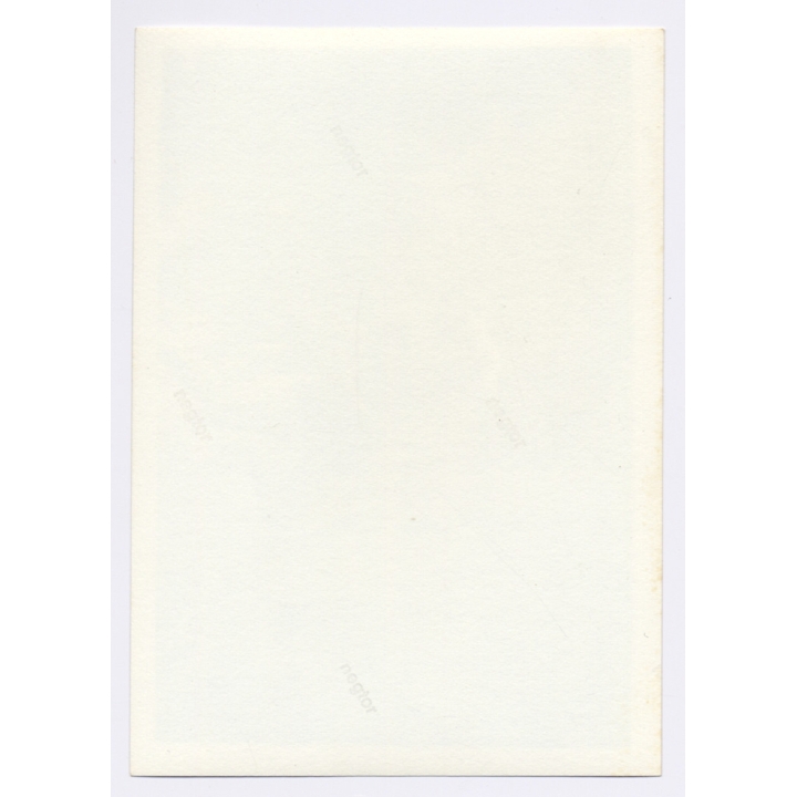 Muscular Young Man Jumps Into Swimming Pool / Gay INT (Vintage Photo 1960s)