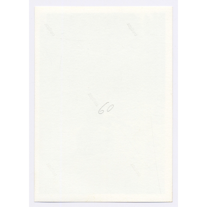 2 Topless Young Men in Swimming Pool / Gay INT (Vintage Photo 1960s)