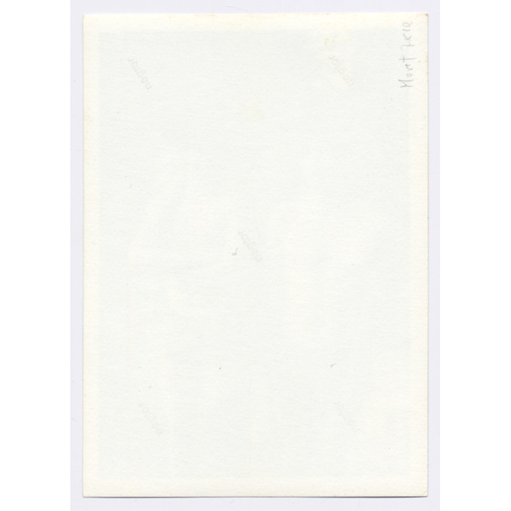 3 Young Men in Swim Trunks / Gay INT (Vintage Photo 1960s)