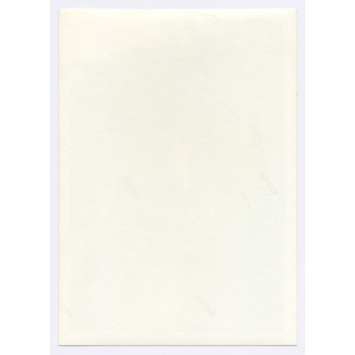 Handsome Young Man Jumping Into Pool / Gay INT (Vintage Photo 1960s)