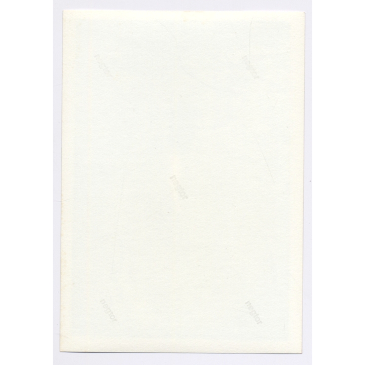 Handsome Young Man in Pool Looking At Camera / Gay INT (Vintage Photo 1960s)