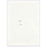 Handsome Topless Young Man in Toga*4 / Gay INT (Vintage Photo 1960s)