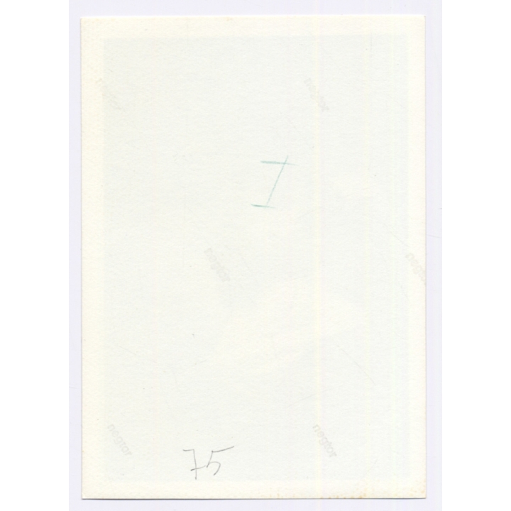 Handsome Topless Young Man in Toga*6 / Gay INT (Vintage Photo 1960s)