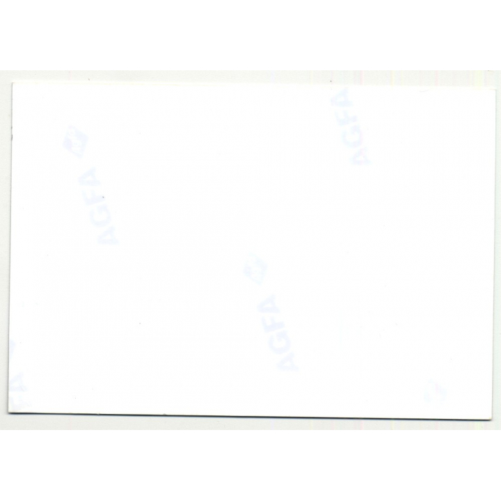 Upper Half Of Topless Blonde Outdoors (Vintage Photo DDR ~1980s)