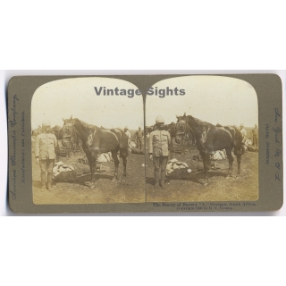 Boer War / South Africa: The Beauty of Battery 'A' - Soldier & Horse (Vintage Stereoscopic Photo 1900)