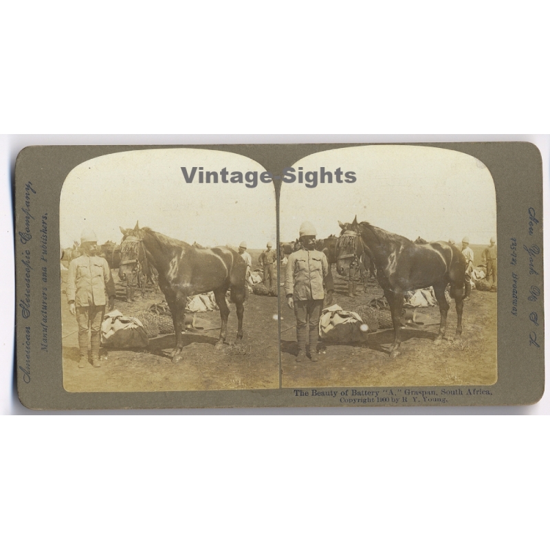 Boer War / South Africa: The Beauty of Battery 'A' - Soldier & Horse (Vintage Stereoscopic Photo 1900)