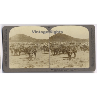 Boer War / South Africa: Royal Horse Artillery Ready To Attack (Vintage Stereoscopic Photo 1900s)