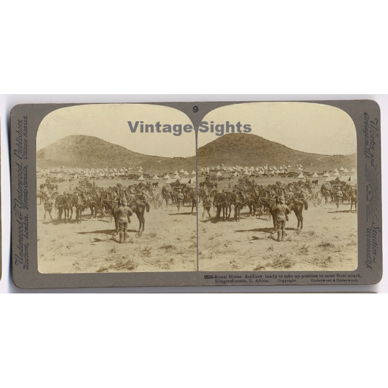 Boer War / South Africa: Royal Horse Artillery Ready To Attack (Vintage Stereoscopic Photo 1900s)