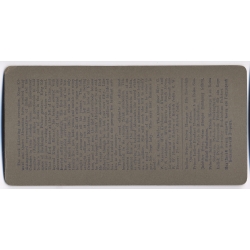 Indian Prince Doing Homage To His Sovereign Queen / King Edward VII (Vintage Stereoscopic Photo 1902)