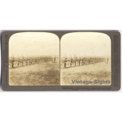 2nd Anglo-Boer War?: British Cyclists Corps Fully Equipped (Vintage Stereoscopic Photo 1900s)