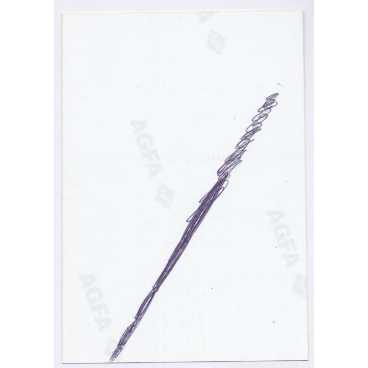 Erotic Study: Cheeky Dark-Haired Semi-Nude In Field (Vintage Photo 1990s)