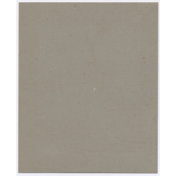 Great Take Of Little Girl Besides Her Huge Dollhouse (Large Vintage Photo 1910s/1920s)