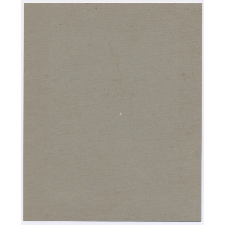 Great Take Of Little Girl Besides Her Huge Dollhouse (Large Vintage Photo 1910s/1920s)