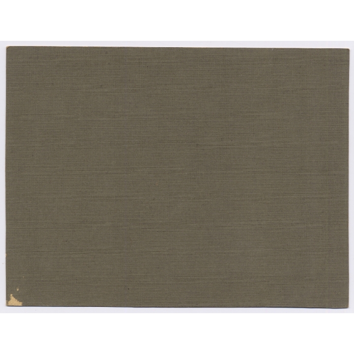 Proud Couple With Their Citroën 5 CV / Oldtimer (Vintage Photo ~1920s)