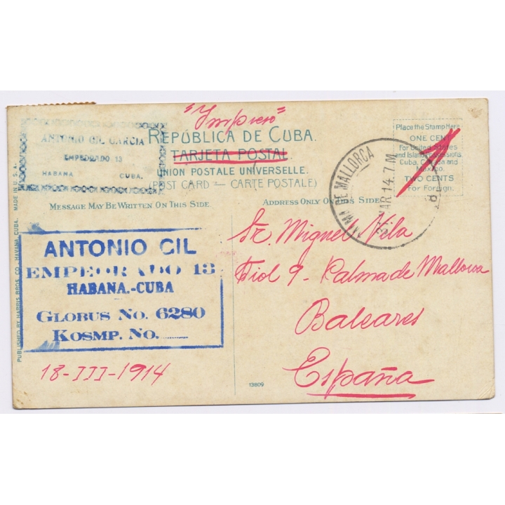 Cuba: A Sugar Cane Field / Horses (Vintage PC 1904)