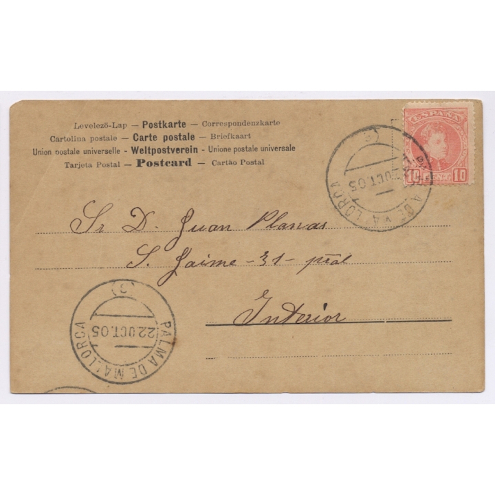 Palma de Mallorca: Cutter Rig Sailboat (Vintage RPPC 1905)