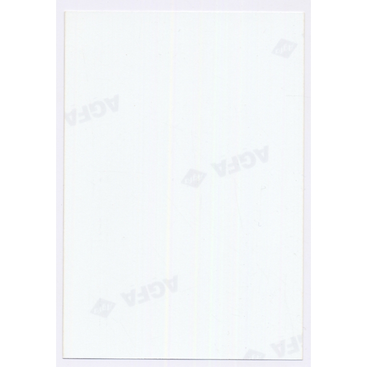 Erotic Study: Busty Blonde Nude Curlyhead With Blue Eyes*8 (Vintage Photo Germany ~1990s)