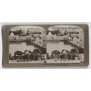 Hebron / Palestine: King's Pool, The Ancient Reservoir (Vintage Stereoscopic Photo ~1900s)