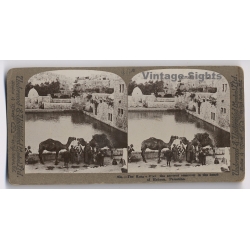 Hebron / Palestine: King's Pool, The Ancient Reservoir (Vintage Stereoscopic Photo ~1900s)
