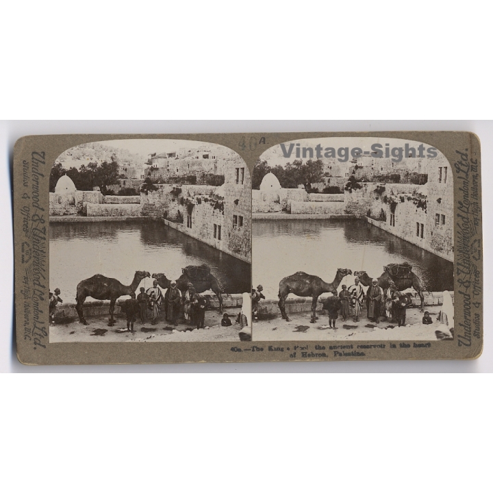 Hebron / Palestine: King's Pool, The Ancient Reservoir (Vintage Stereoscopic Photo ~1900s)