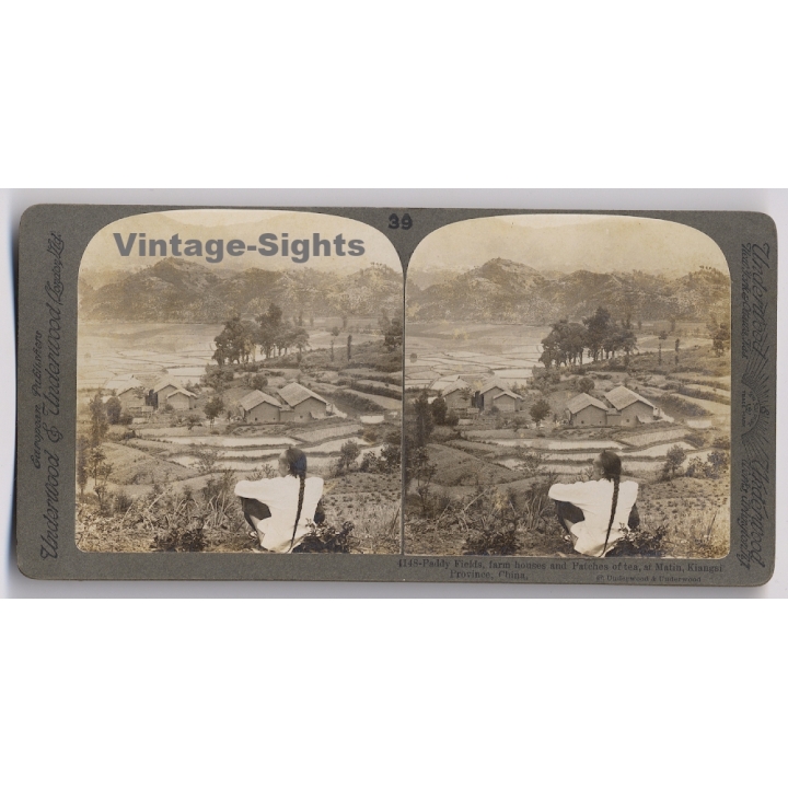 Kiangsi Province / China: Paddy Fields & Patches Of Tea (Vintage Stereoscopic Photo ~1900s)