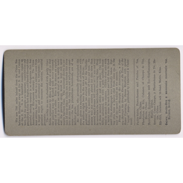 Kiangsi Province / China: Paddy Fields & Patches Of Tea (Vintage Stereoscopic Photo ~1900s)