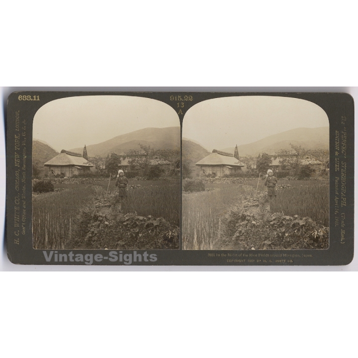 Japan: Rice Fields Around Miyagino (Vintage Stereoscopic Photo 1901)