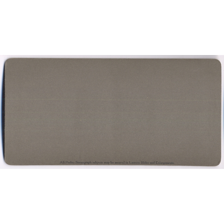 Japan: Rice Fields Around Miyagino (Vintage Stereoscopic Photo 1901)