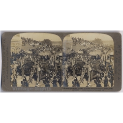 Delhi / India: The Durbar Procession / Decorated Elephants (Vintage Stereoscopic Photo 1900s)