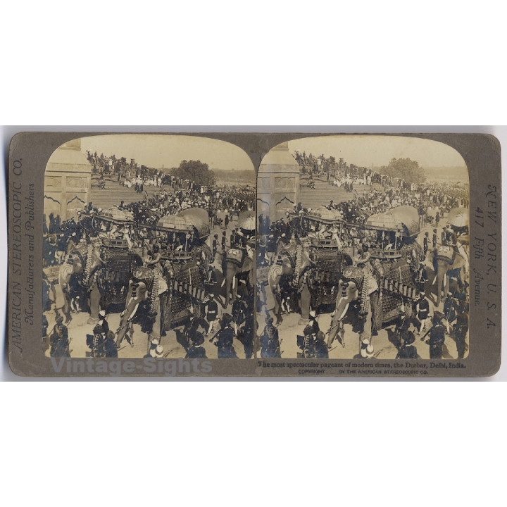 Delhi / India: The Durbar Procession / Decorated Elephants (Vintage Stereoscopic Photo 1900s)