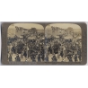 Delhi / India: The Durbar Procession / Decorated Elephants (Vintage Stereoscopic Photo 1900s)