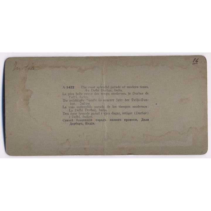 Delhi / India: The Durbar Procession / Decorated Elephants (Vintage Stereoscopic Photo 1900s)