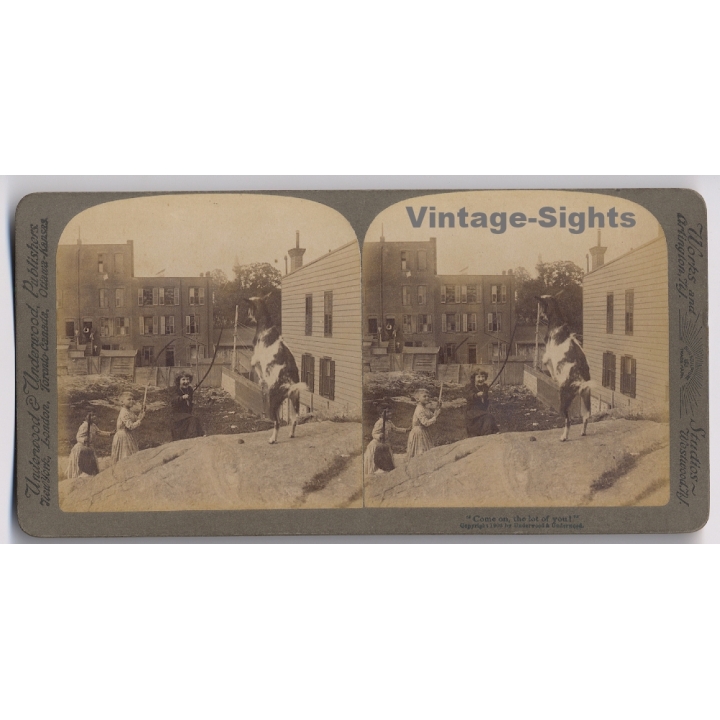 Kids Playing With A Goat / Come On, The Lot Of You! (Vintage Stereoscopic Photo 1908)