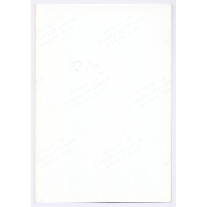 Erotic Study: Natural Curvy Semi Nude*1 / Transparent Lingerie (Vintage Photo GDR ~1980s)