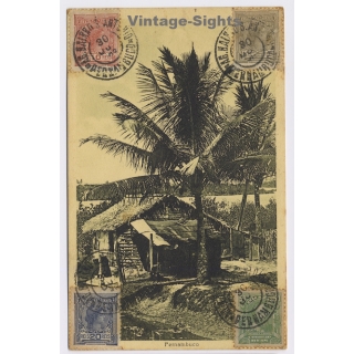 Pernambuco / Brazil: Native Straw Hut / U.S.C.E. (Vintage PC 1919)