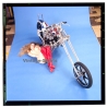 Erotic Study: Racy Blonde Pin-up Girl On Chopper*3 (Vintage Diapositive KORENJAK 1980s)