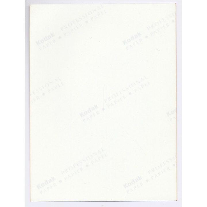 Erotic Study: Natural Curvy Busty Blonde Nude With Blue Eyes (Vintage Photo ~1990s)