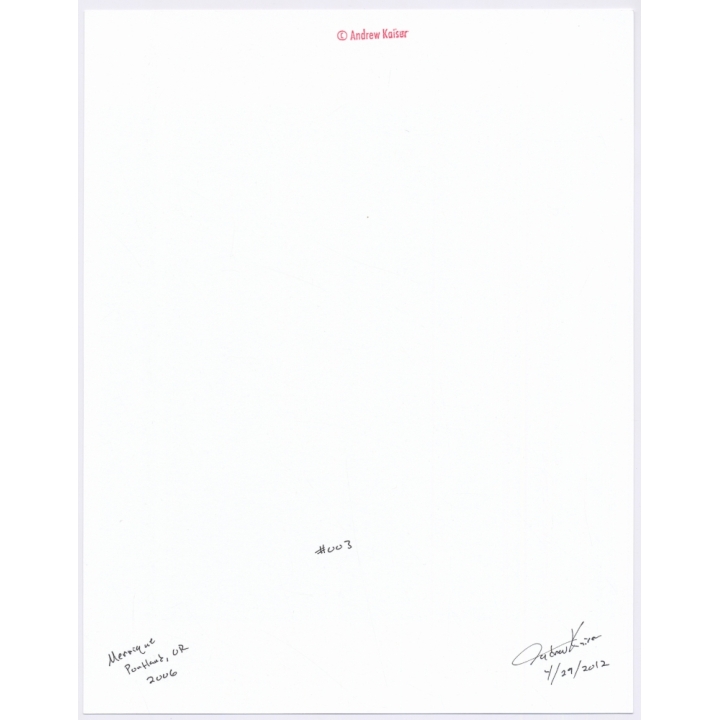 Artistic Erotic Study by Andrew Kaiser: Merrique *3 (Large Digital Photo Print 2020)