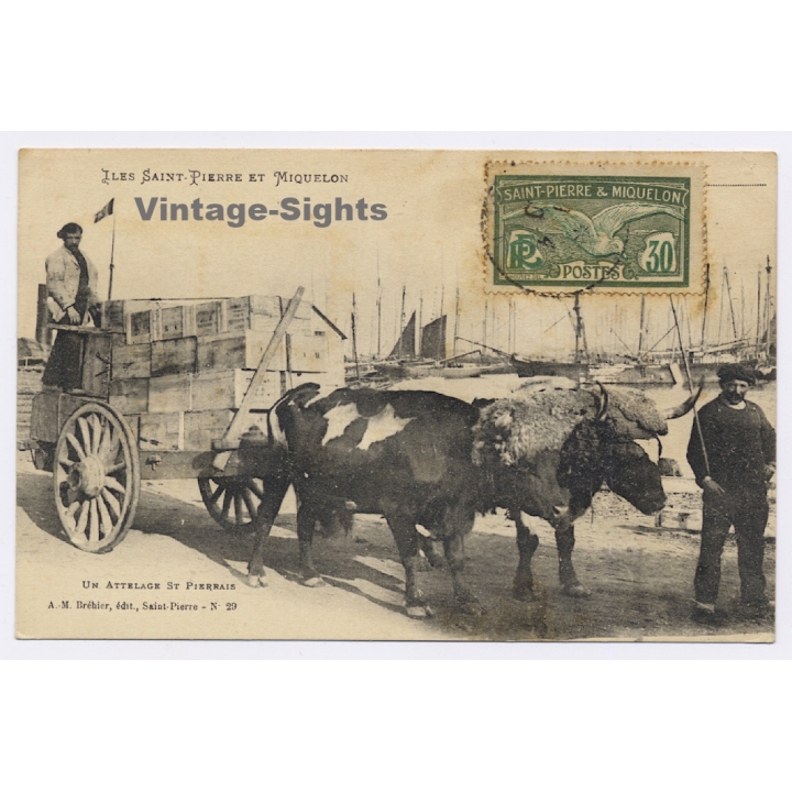 Iles Saint-Pierre Et Miquelon: Un Atterlage St. Pierrais (Vintage PC 1930)