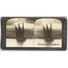 Switzerland: Moonlight On Lovely Lake Geneva / Three Masted Sailboat (Vintage Stereoscopic Photo 1908)