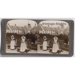 Zeeland / Netherlands: Dutch Countrywomen With Milk-Pails (Vintage Stereoscopic Photo 1900s)
